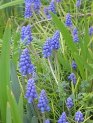 c0121291_6259.jpg