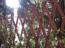 c0121291_62812.jpg