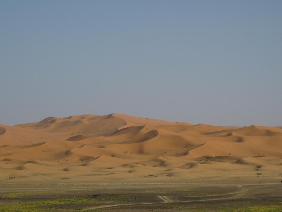 d0131698_15352329.jpg