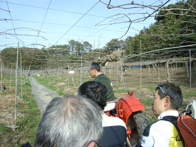 掛川市のキイウイ園_f0153098_9253937.jpg