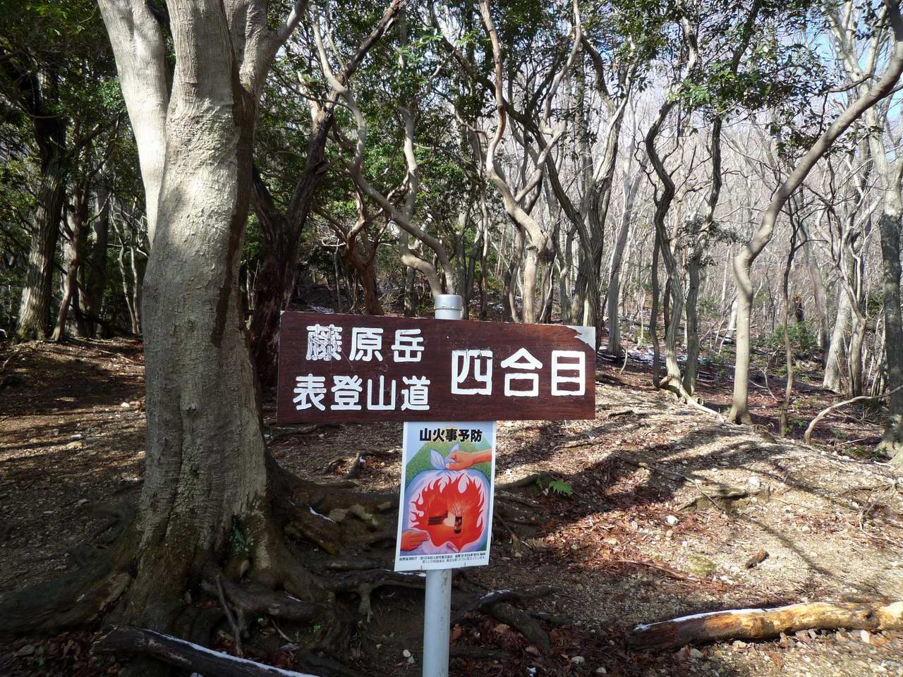 藤原岳　再び･･･_e0110500_22583772.jpg