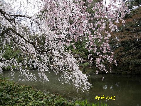 d0090001_21303842.jpg
