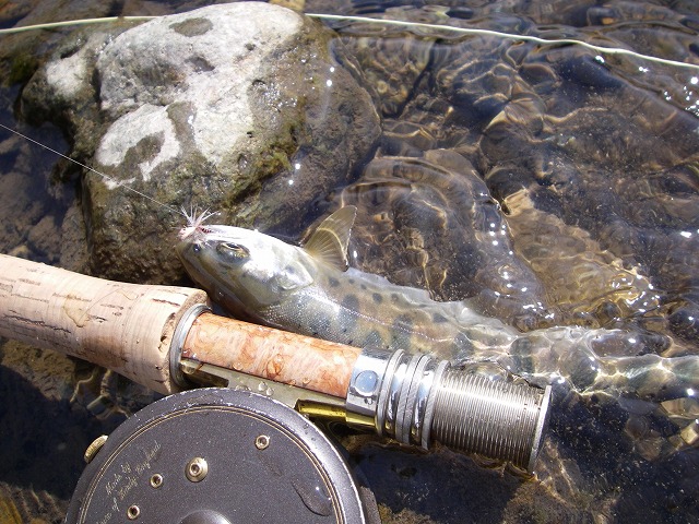c0180802_2153916.jpg