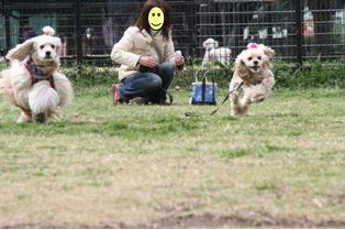 c0128303_22111532.gif