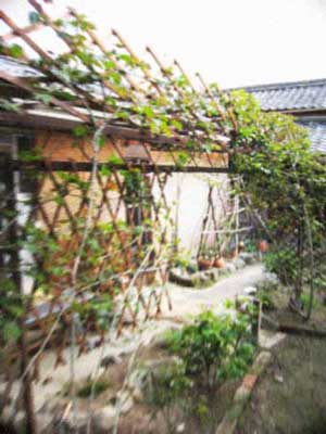 d0077603_96371.jpg