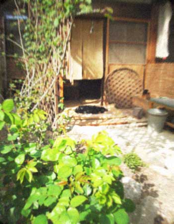 d0077603_96924.jpg