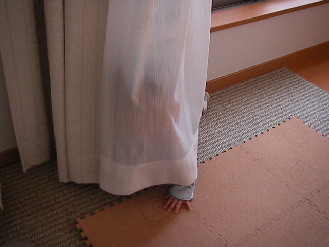 f0038407_9333923.jpg