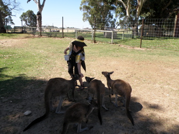 Australia the 2nd day_e0099508_10572599.jpg