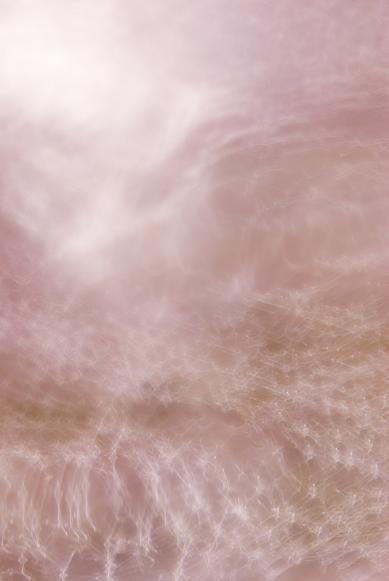 桜の森の満開の下_f0155808_647814.jpg