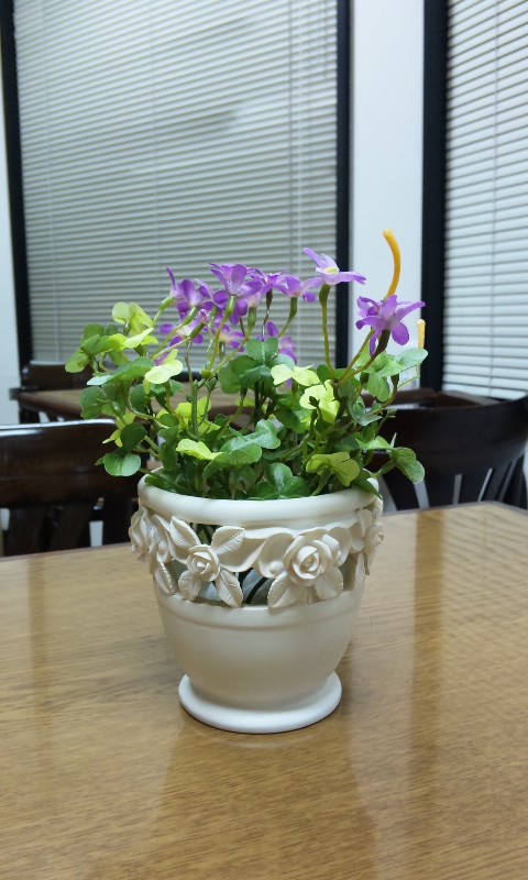 お母様方にいただいたお花_d0116009_324334.jpg