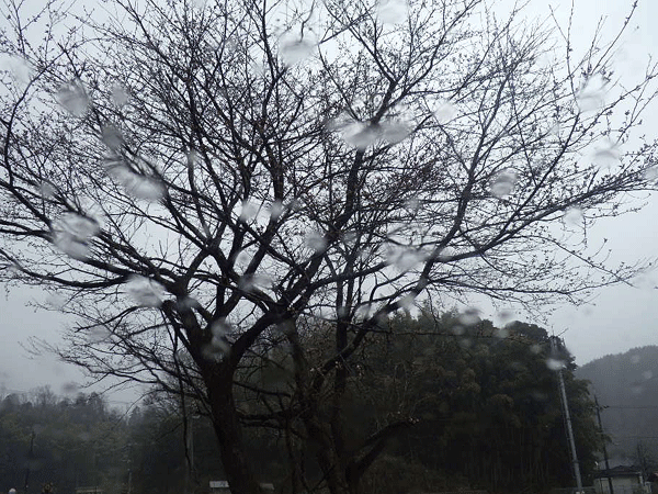 b0159611_2256951.gif