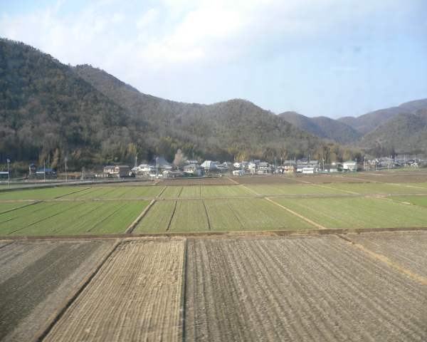 f0125914_1321678.jpg