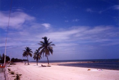 a0116217_19545643.jpg