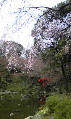 a0105023_20342847.jpg