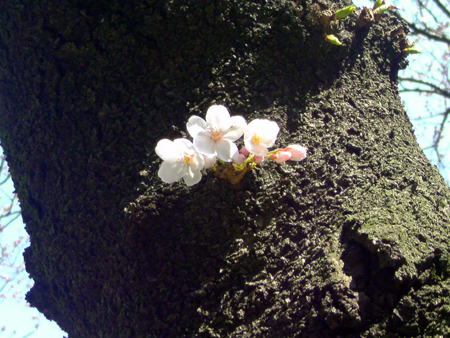 c0117831_22407.jpg