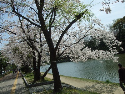 b0108732_22251164.jpg