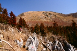 d0055236_17583146.jpg