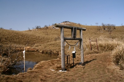 d0055236_191213.jpg