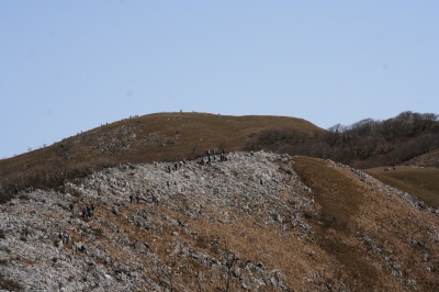 d0055236_199897.jpg