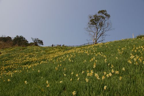 e0168341_04342.jpg