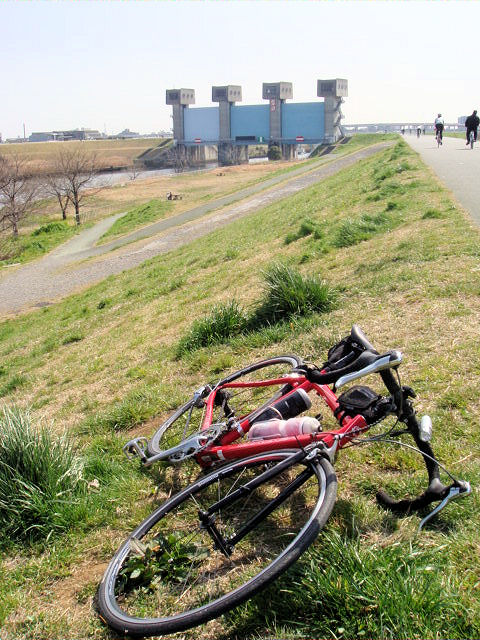 Beyond The Sea その3_b0136045_137598.jpg