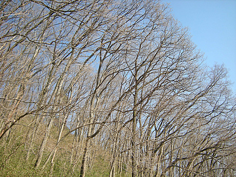 a0001354_20261545.jpg