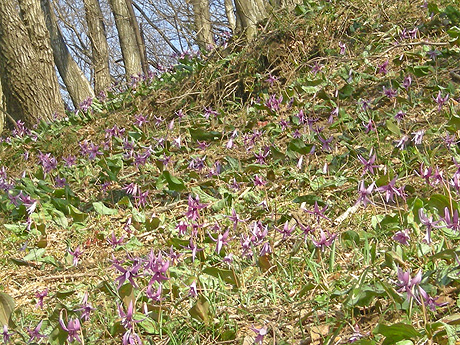 a0001354_20263262.jpg