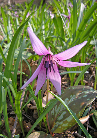 a0001354_20274677.jpg
