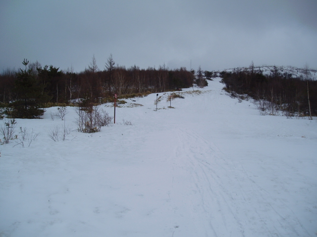 f0145963_10303930.jpg