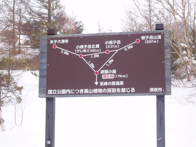 f0145963_10394958.jpg