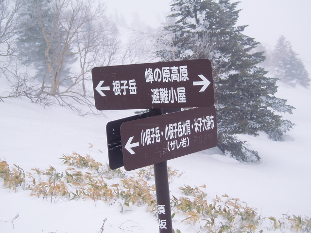 f0145963_10432128.jpg
