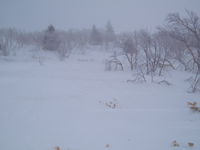 f0145963_10482068.jpg
