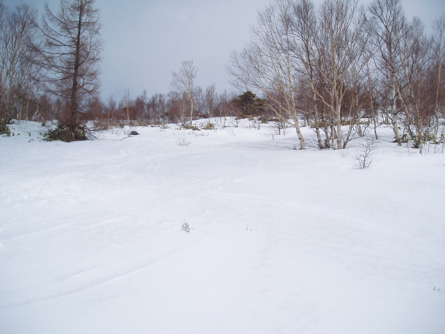 f0145963_11251642.jpg