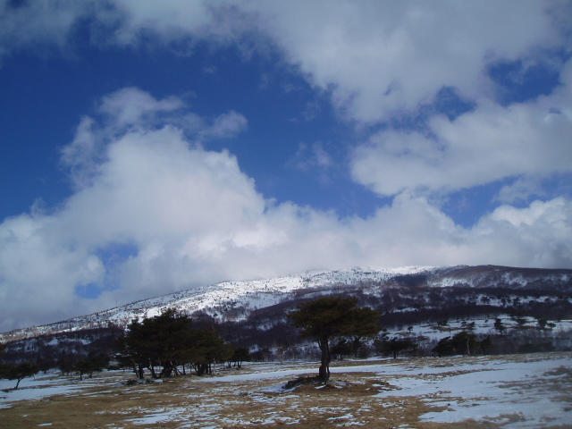 f0145963_11291742.jpg