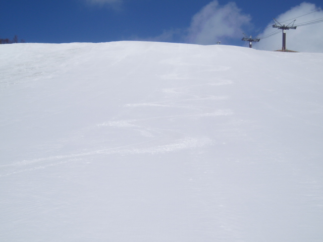 f0145963_1135181.jpg