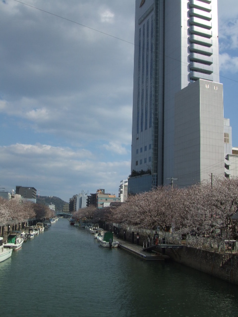 f0144970_17461676.jpg