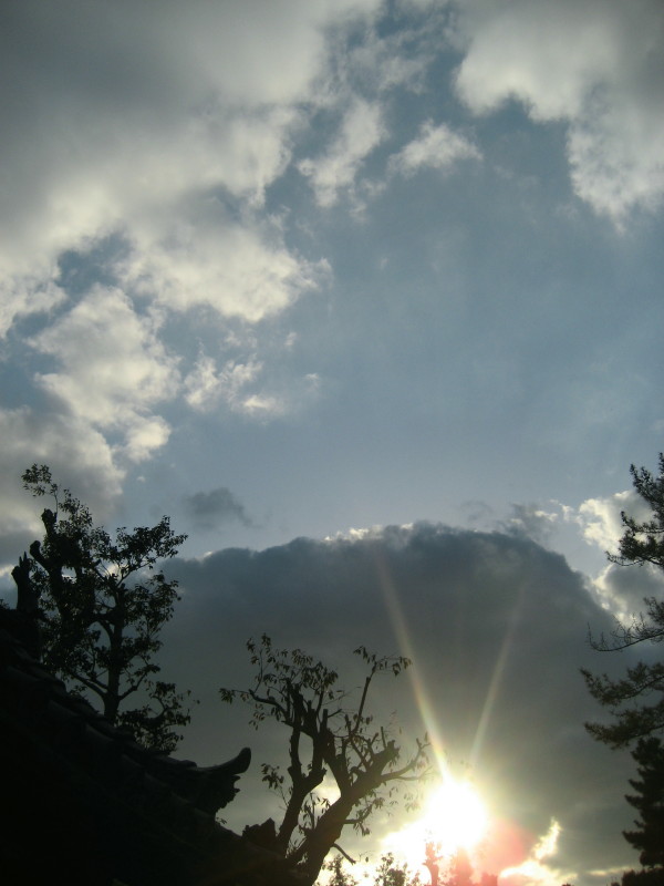 c0097371_2104899.jpg