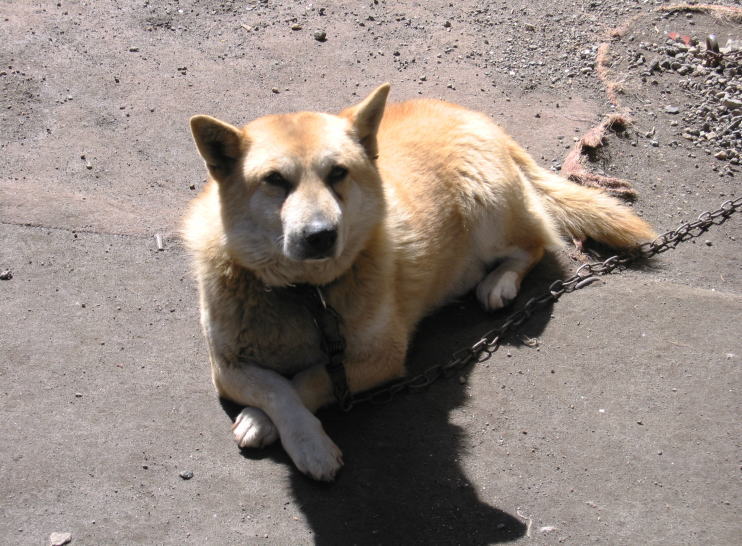 c0112479_8151226.jpg