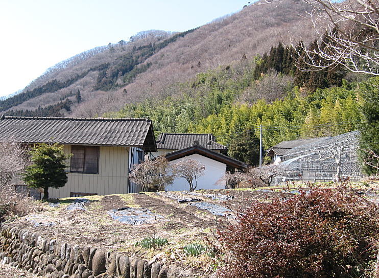 c0112479_8181235.jpg