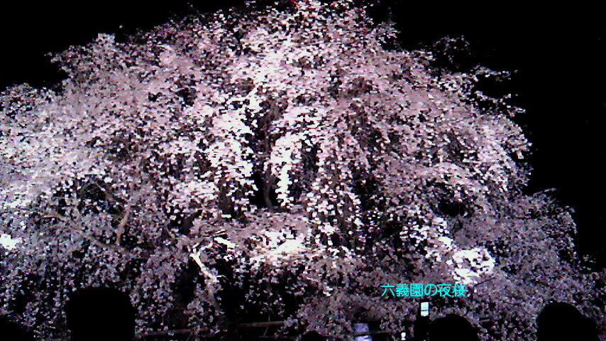 b0013080_23483675.jpg