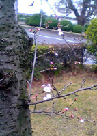 e0060483_2110780.jpg