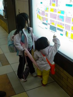帰省と・・・宮古島の明日葉。_f0177295_22313235.jpg
