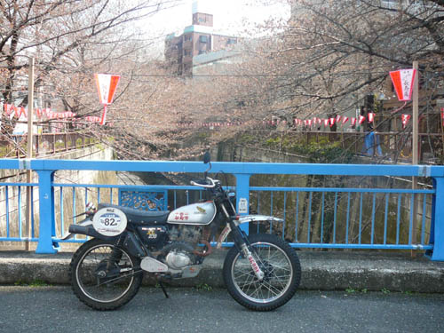 f0137496_1847628.jpg