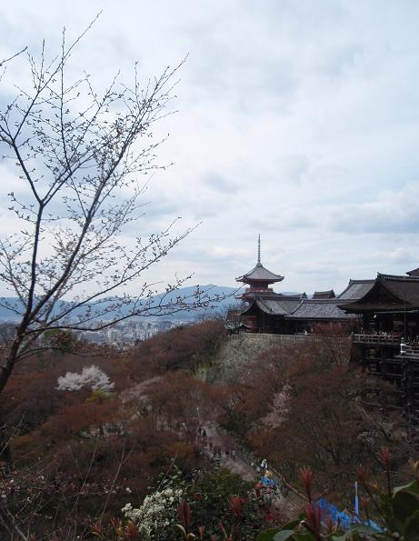 春の京都　ぶらり♪　その１_c0098501_2041778.jpg