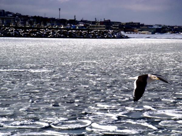 e0007801_1263912.jpg