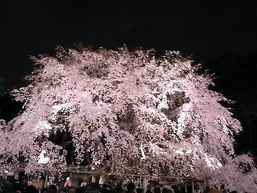 a0068306_2327349.jpg