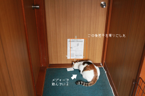 レポート 猫用扉を取り付けてみた 猫の飼い主はじめました