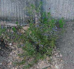 ポイントで_f0035506_026746.jpg