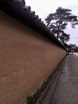 e0063212_2031935.jpg