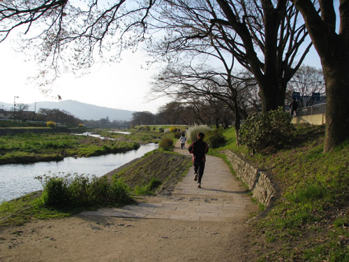 鴨川に春が_e0048413_2342924.jpg